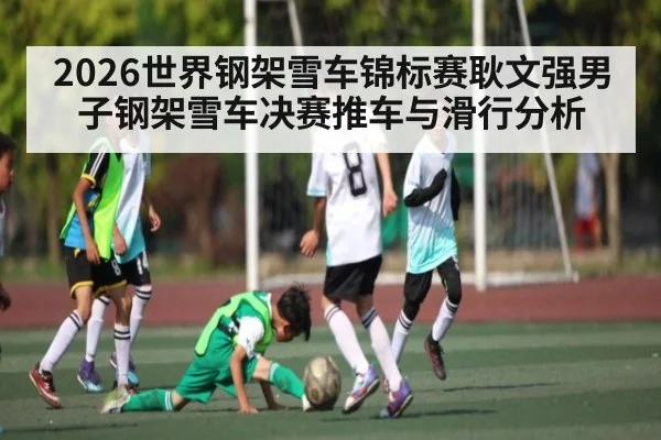 2026世界钢架雪车锦标赛耿文强男子钢架雪车决赛推车与滑行分析