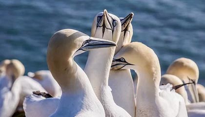 华体会体育app-法甲前瞻|巴黎3-0里尔：三冠王之后，大巴黎三线全崩？